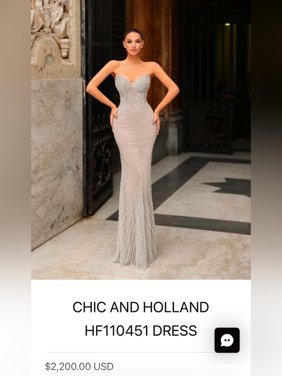 chic and holland Dresses & Skirts - Chic and Holland. Sparkling Silver Beaded Spaghetti Strap Dress